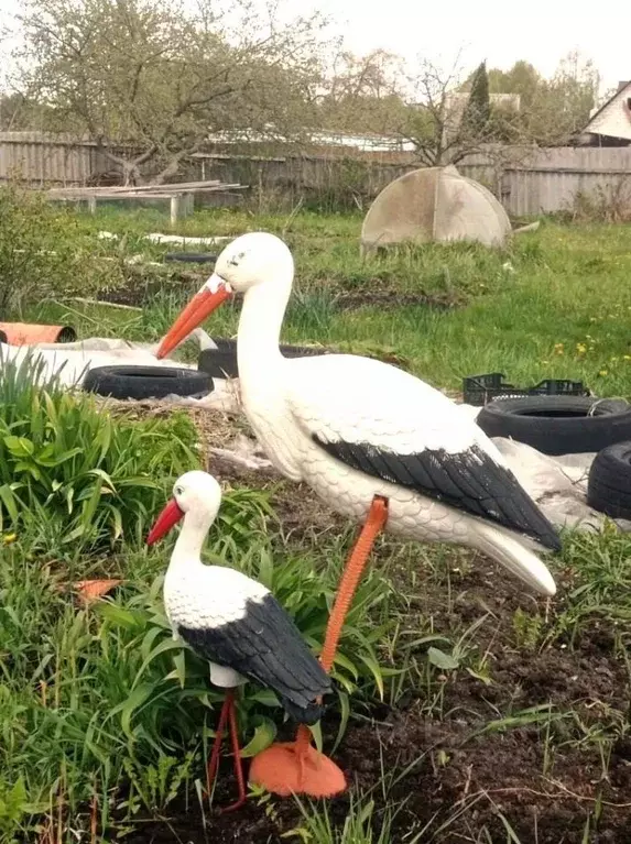 Участок в Брянская область, Фокино Юбилейный СНТ,  (6.0 сот.) - Фото 1