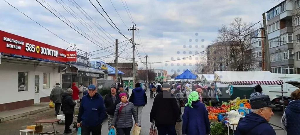 Коммерция с фед. арендатором. Окупаемость 10 лет - Фото 1