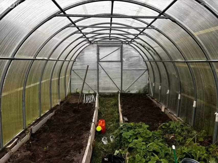 Участок в Пениковское сельское поселение, деревня Сойкино (7 м) - Фото 1