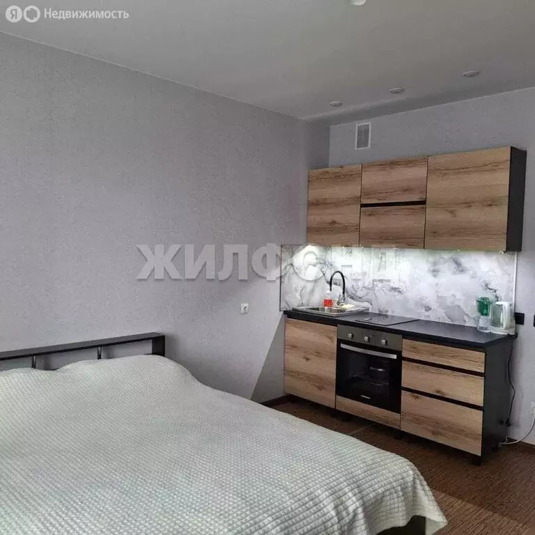 Квартира-студия: Новосибирск, Гурьевская улица, 177/1 (28.4 м) - Фото 1