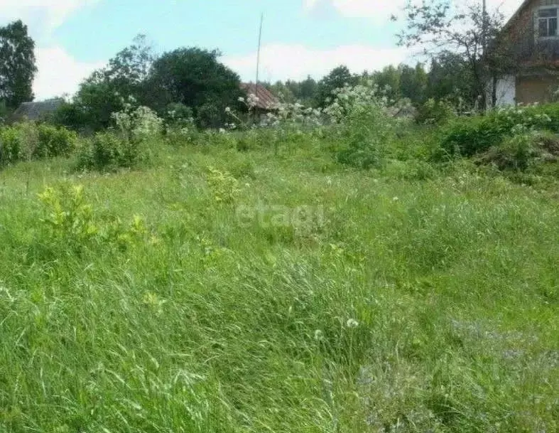 Участок в Нижегородская область, Богородский район, Энергетик СНТ  ... - Фото 1