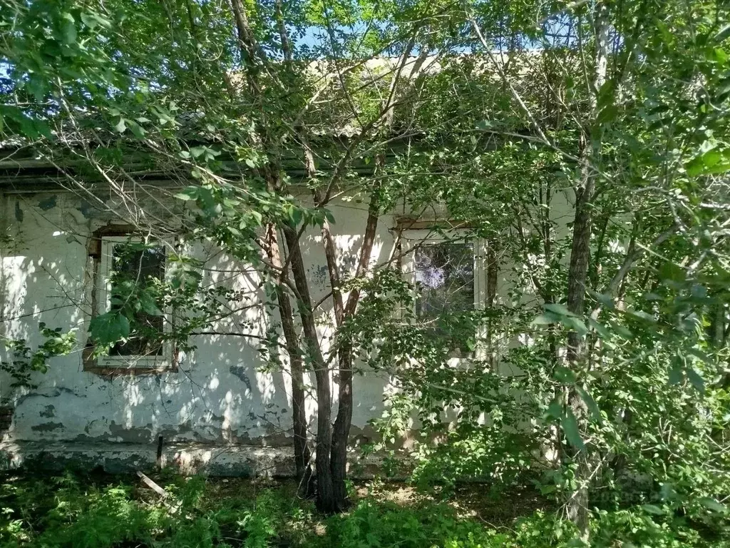 Дом в Хакасия, Усть-Абакан рп ул. Циолковского, 24 (41 м) - Фото 0