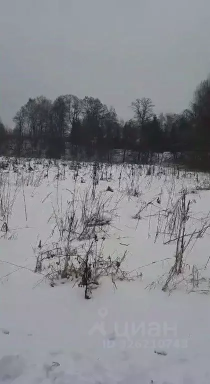 Участок в Московская область, Ступино городской округ, с. Березнецово  ... - Фото 2