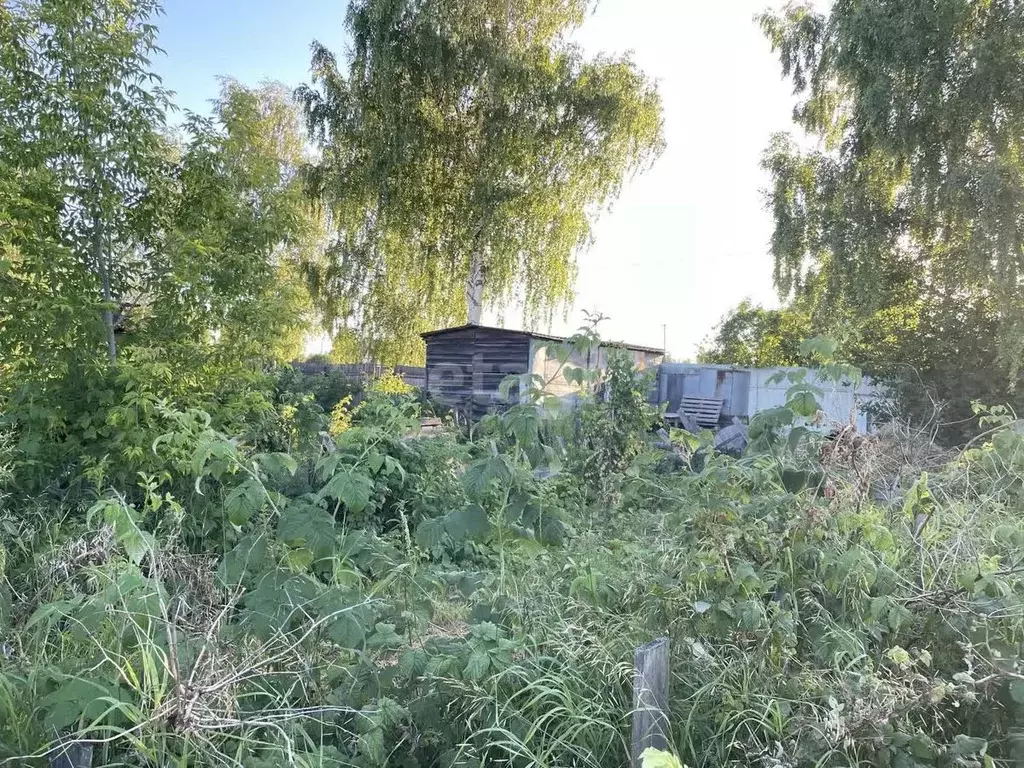 Участок в Архангельская область, Котлас ул. 7-го Съезда Советов, 48 ... - Фото 1