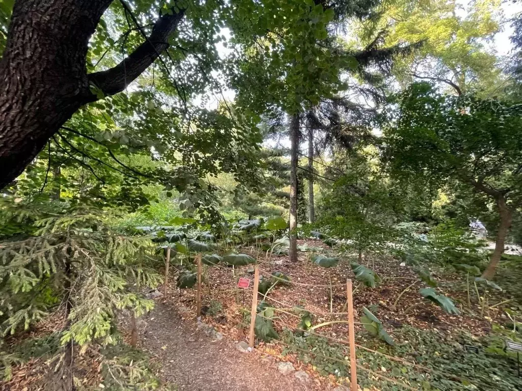 Офис в Москва просп. Мира, 26С4 (90 м) - Фото 2