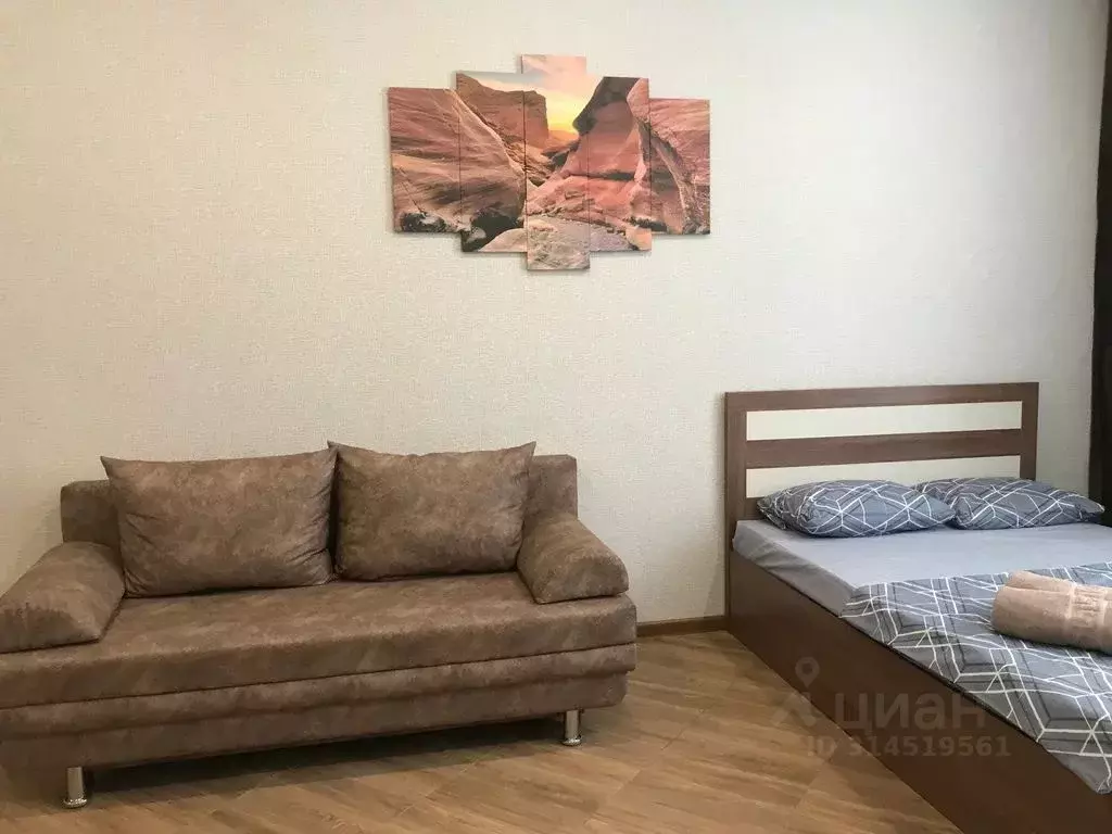 Студия Татарстан, Казань Тэцевская ул., 4Е (29.0 м) - Фото 1