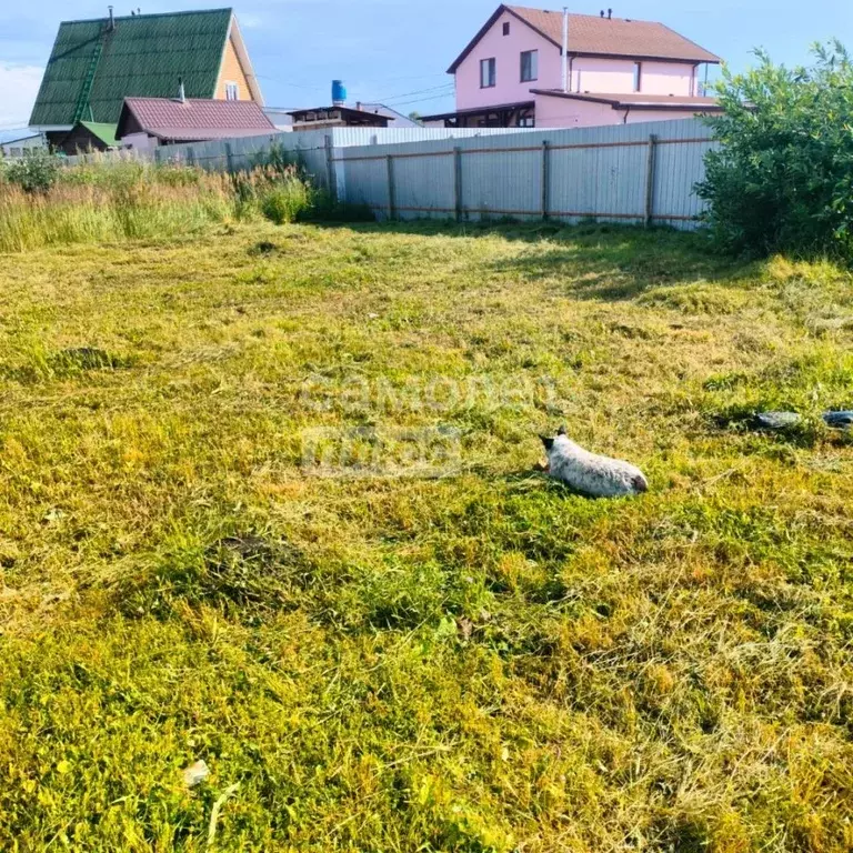 Участок в Челябинская область, Сосновский муниципальный округ, Поселок ... - Фото 2