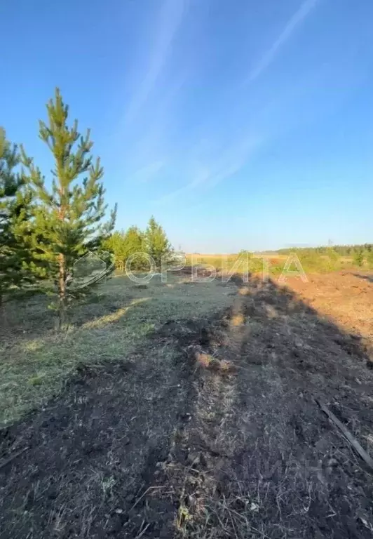 Участок в Тюменская область, Тюменский муниципальный округ, д. ... - Фото 2