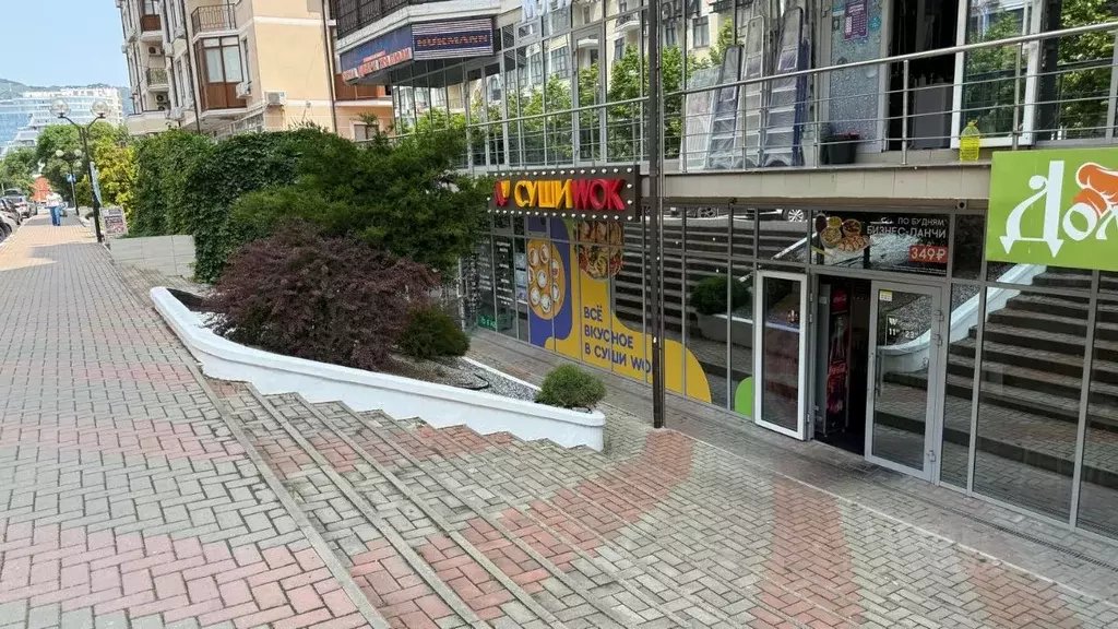 Помещение свободного назначения в Краснодарский край, Геленджик ... - Фото 1