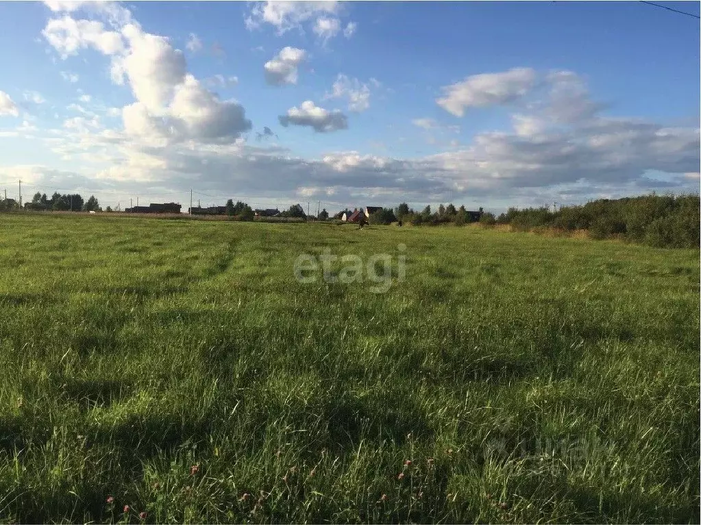 Участок в Воронежская область, с. Новая Усмань  (8.27 сот.) - Фото 0