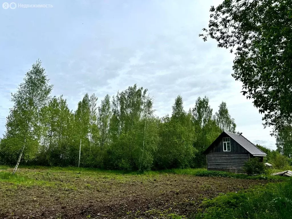 Участок в Псковский район, Писковичская волость, деревня Задолье (33 ... - Фото 0