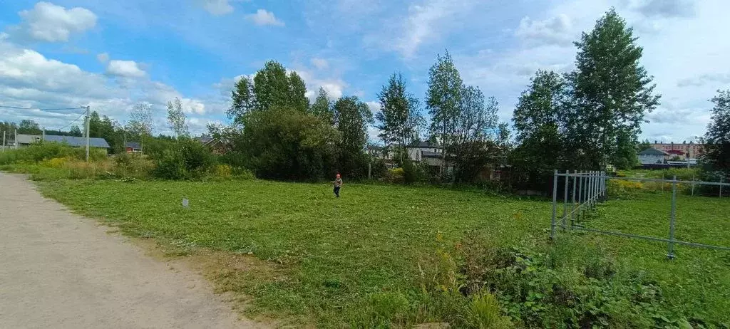 Участок в Вологодская область, Череповец ул. Кедровая (10.8 сот.) - Фото 2