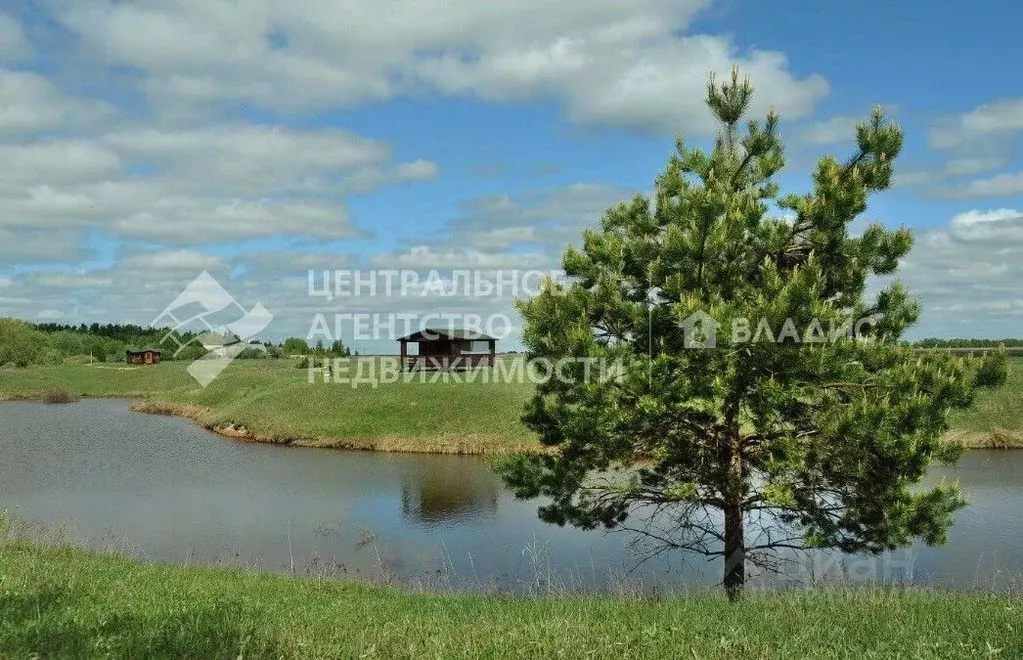 Участок в Рязанская область, Рязанский муниципальный округ, с. ... - Фото 0