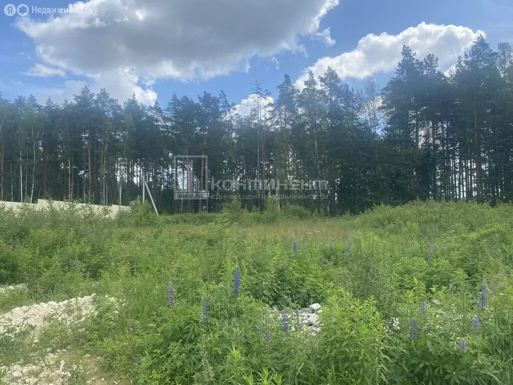 Участок в муниципальное образование Новосельское, село Любец (17 м) - Фото 0