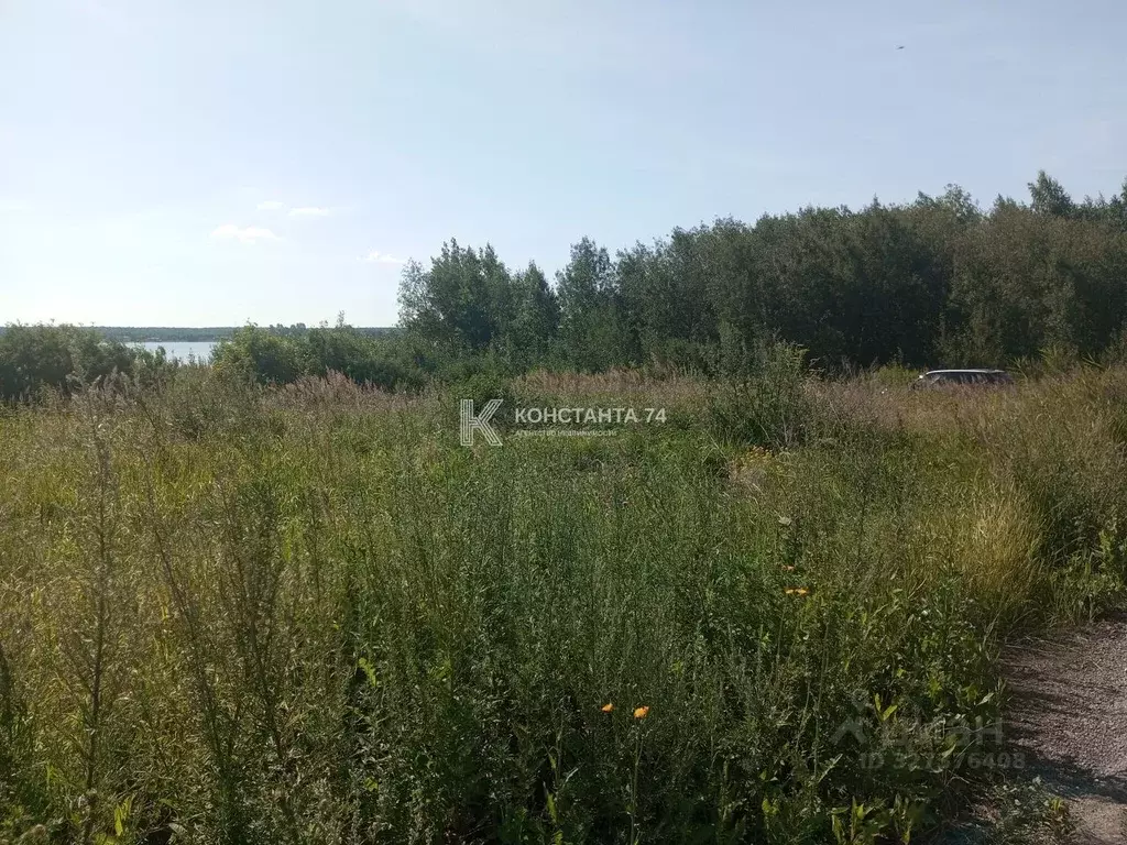 Участок в Челябинская область, Аргаяшский муниципальный округ, Журавли ... - Фото 2