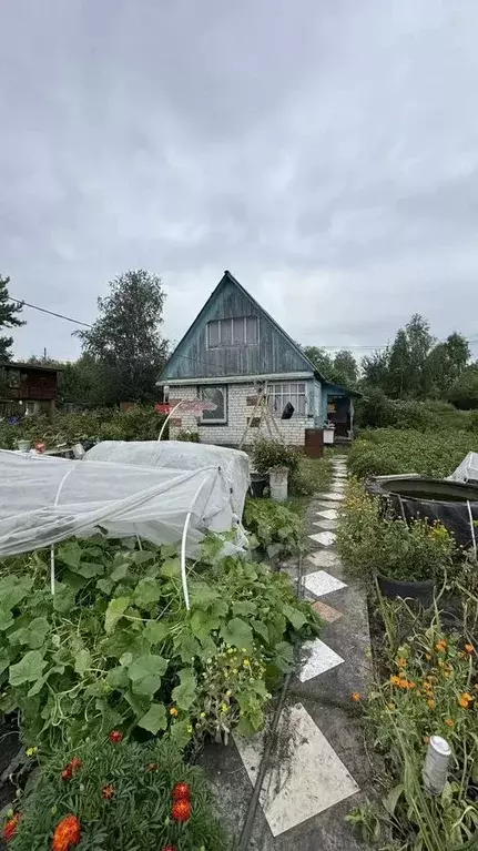 Дом в Тюменская область, Тюмень Центральная ул. (45 м) - Фото 2