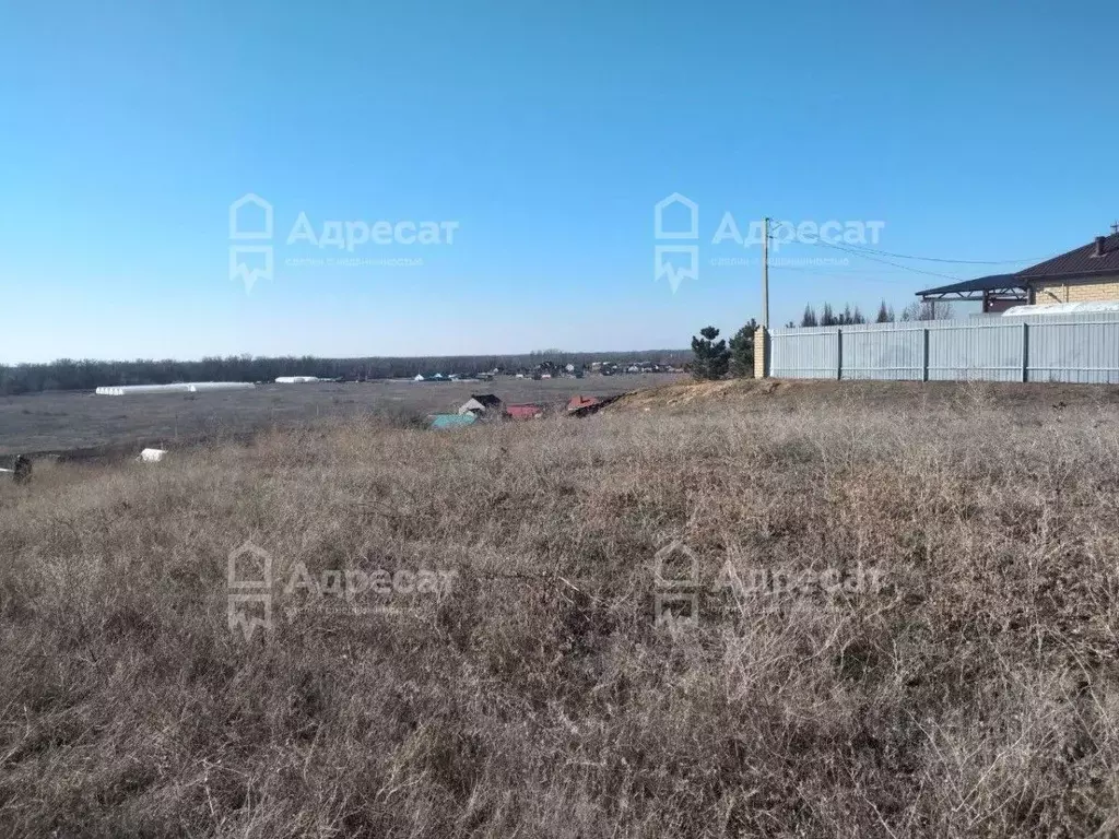 Участок в Волгоградская область, Средняя Ахтуба рп ул. Наримана, 43 ... - Фото 1