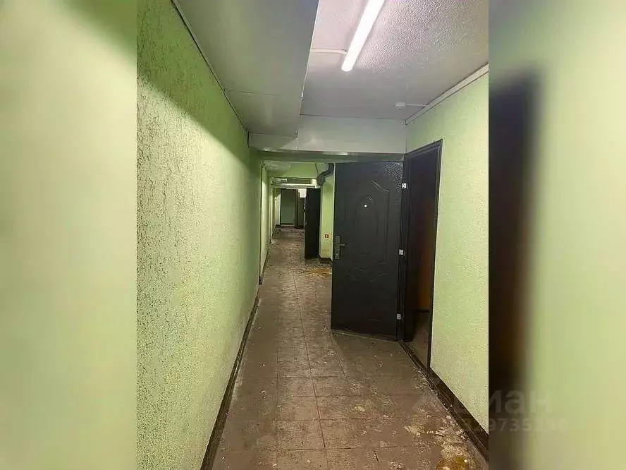 Помещение свободного назначения в Воронежская область, Воронеж ул. ... - Фото 1