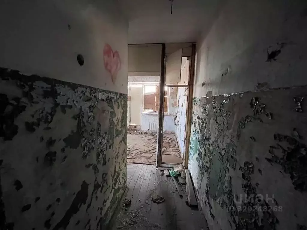 Помещение свободного назначения в Приморский край, Ольгинский ... - Фото 1