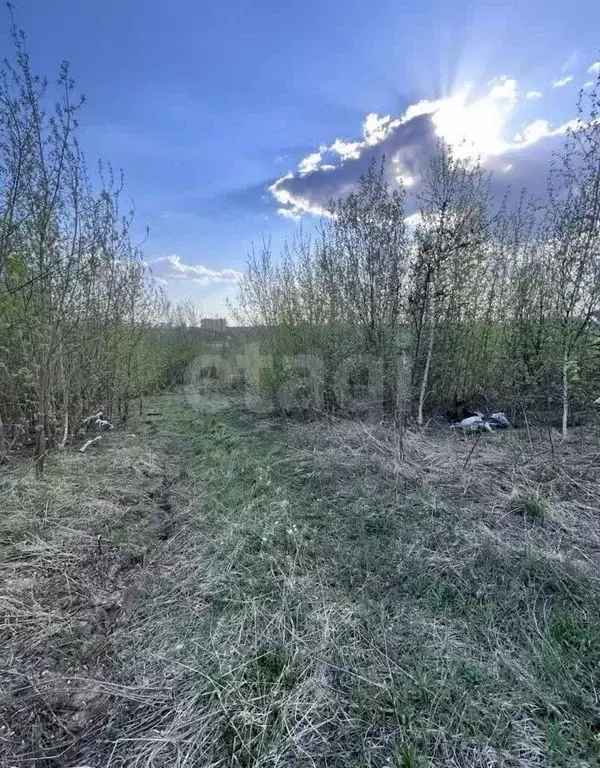 Участок в Нижегородская область, Нижний Новгород Ракета ТСН, 213 (7.5 ... - Фото 2