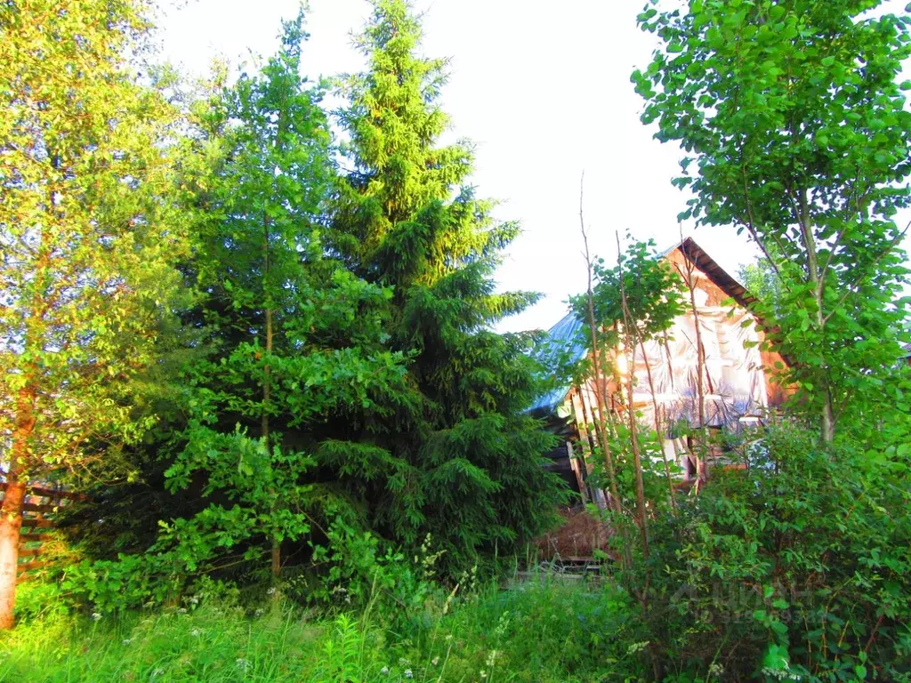 Участок в Ленинградская область, Кировское городское поселение, ... - Фото 1