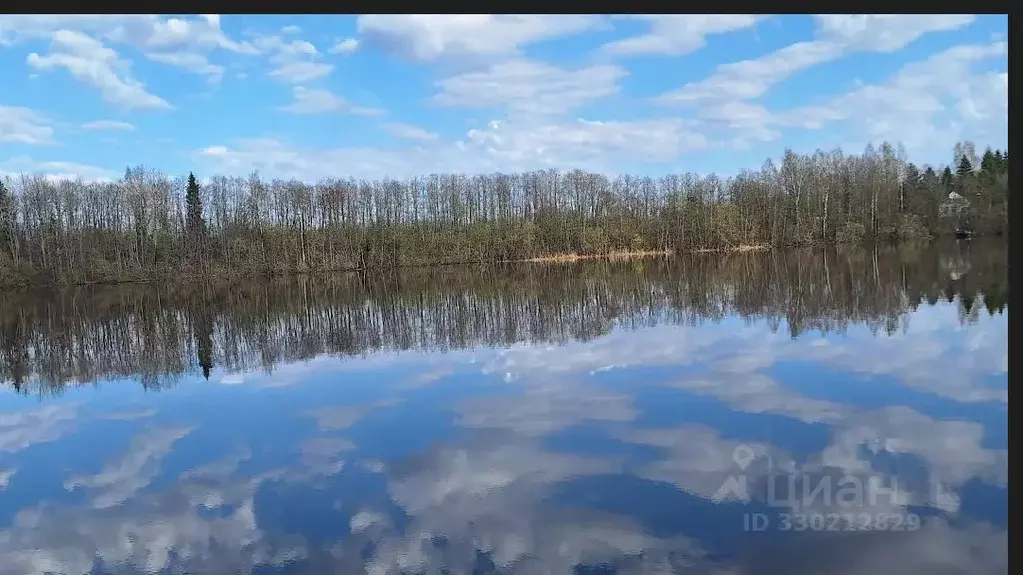 Участок в Ленинградская область, Волховский район, Вындиноостровское ... - Фото 1