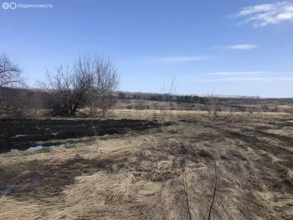 Участок в Лямбирский район, Саловское сельское поселение, деревня ... - Фото 1