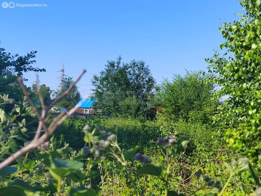 Участок в Комсомольск-на-Амуре, посёлок Победа, улица Дарвина (9.67 м) - Фото 1