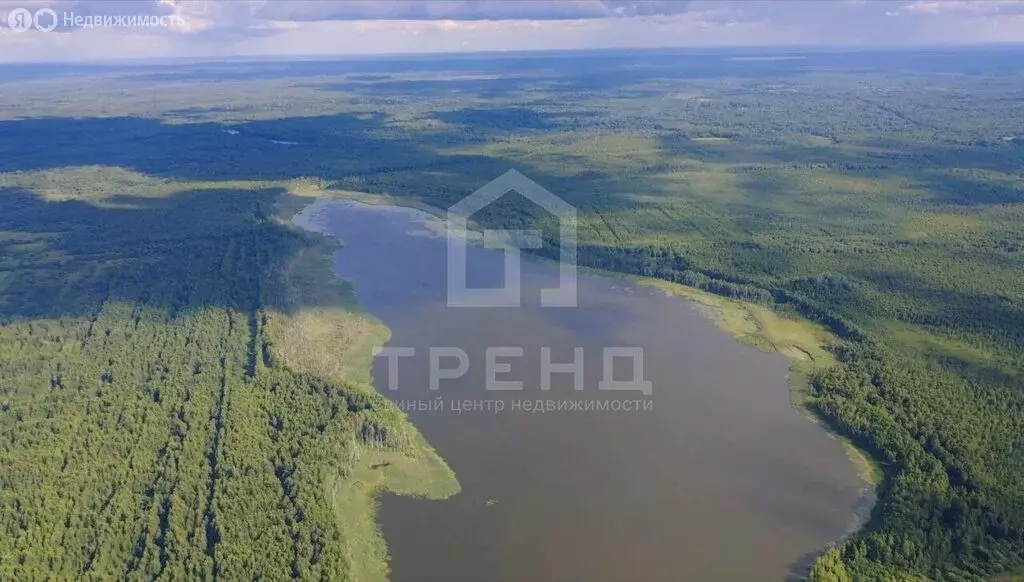 Участок в Осьминское сельское поселение, деревня Залустежье, Дальняя ... - Фото 1