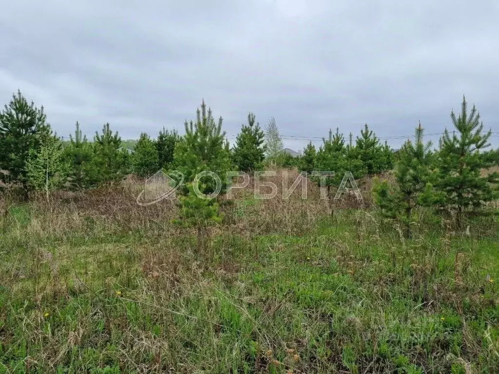 Участок в Тюменская область, Тюменский район Р-351, 300-й км (5.3 ... - Фото 1