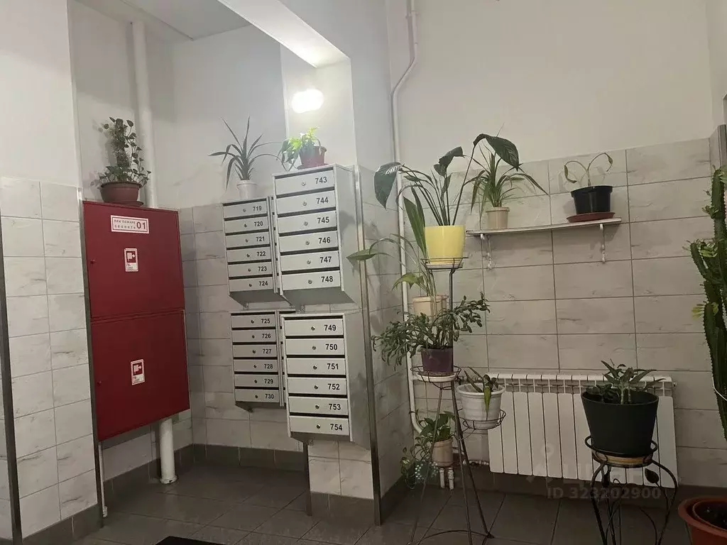 1-к кв. Санкт-Петербург просп. Славы, 52к1 (37.4 м) - Фото 2