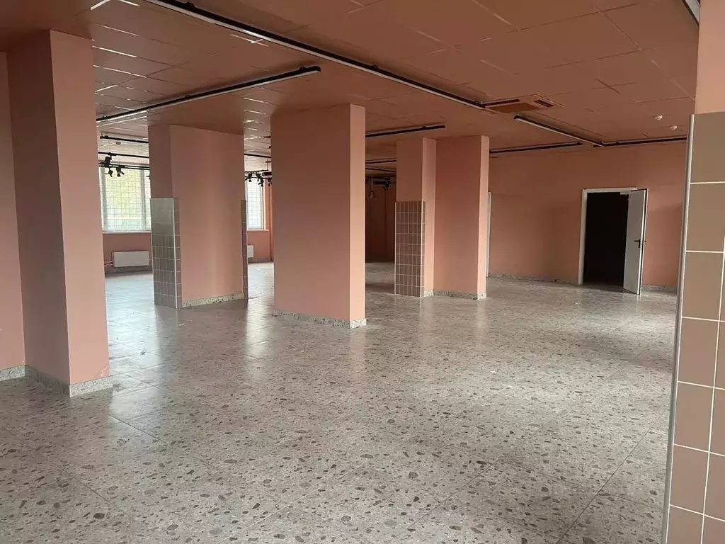 Торговая площадь в Свердловская область, Екатеринбург ул. Рощинская, ... - Фото 2