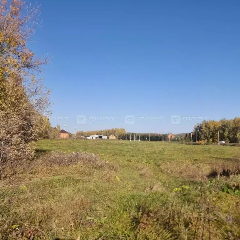 Участок в Татарстан, Высокогорский район, д. Чернышевка Центральная ... - Фото 1