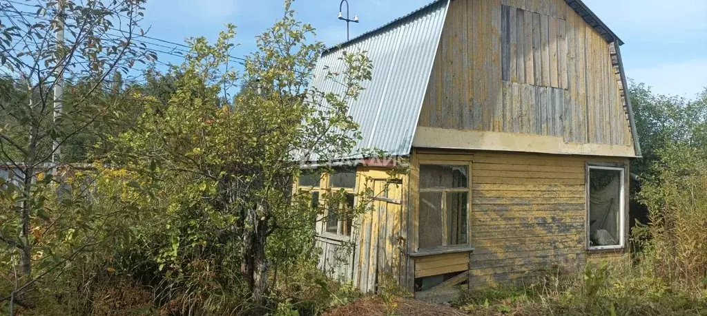 Участок в Владимирская область, Владимир Уварово СНТ, 375 (4.0 сот.) - Фото 1