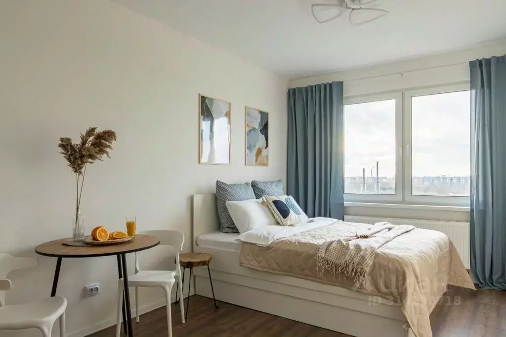 1-к кв. Санкт-Петербург ул. Пейзажная, 30 (24.0 м) - Фото 1