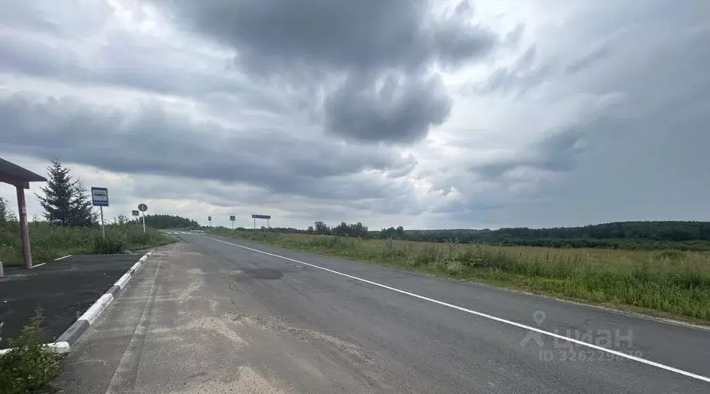 Участок в Владимирская область, Александровский муниципальный округ, ... - Фото 1