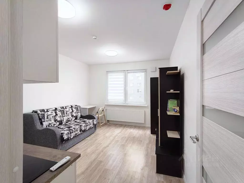 Студия Санкт-Петербург дор. Муринская, 27к1 (21.1 м) - Фото 1