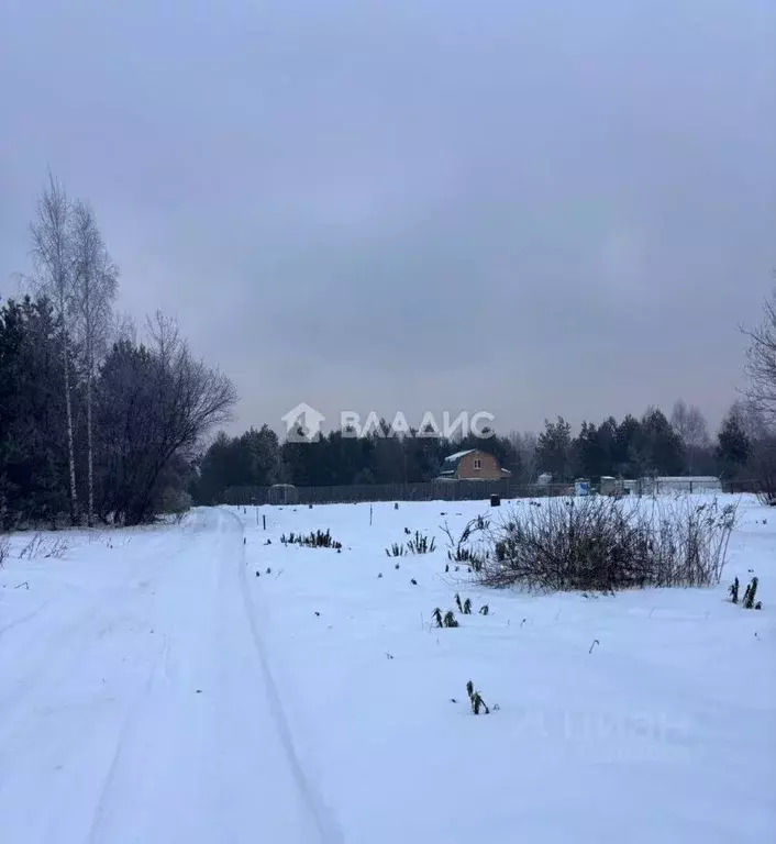 Участок в Владимирская область, Владимир сад Заречье, 127 (10.0 сот.) - Фото 0