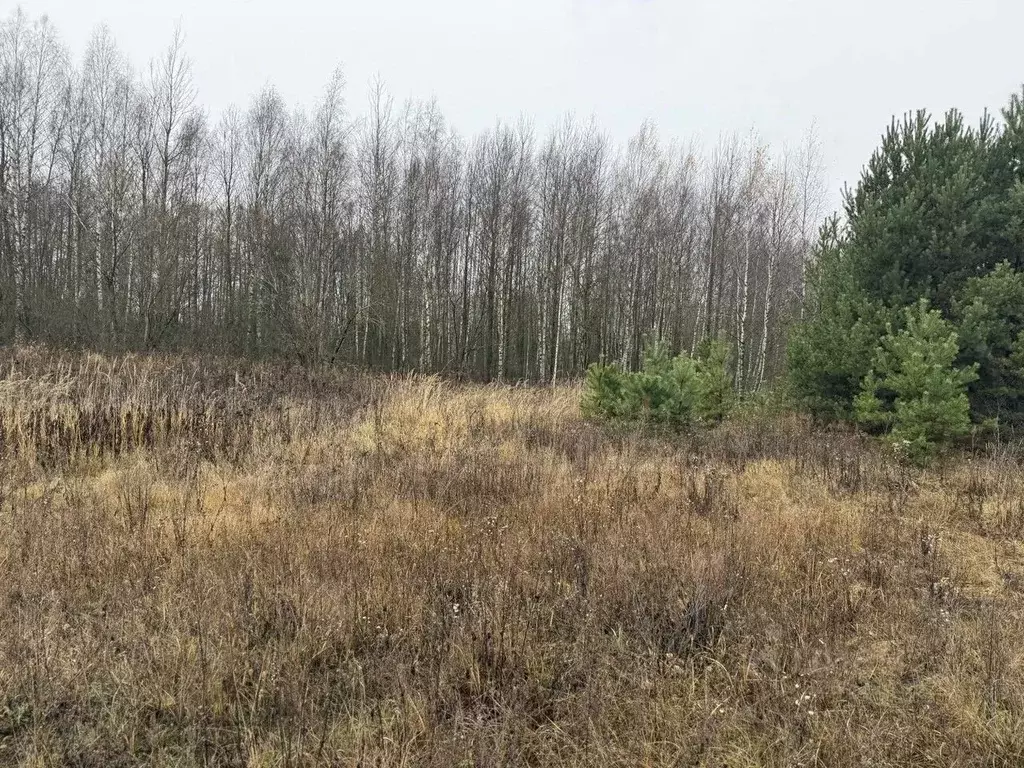 Участок в Московская область, Орехово-Зуевский городской округ, д. ... - Фото 2