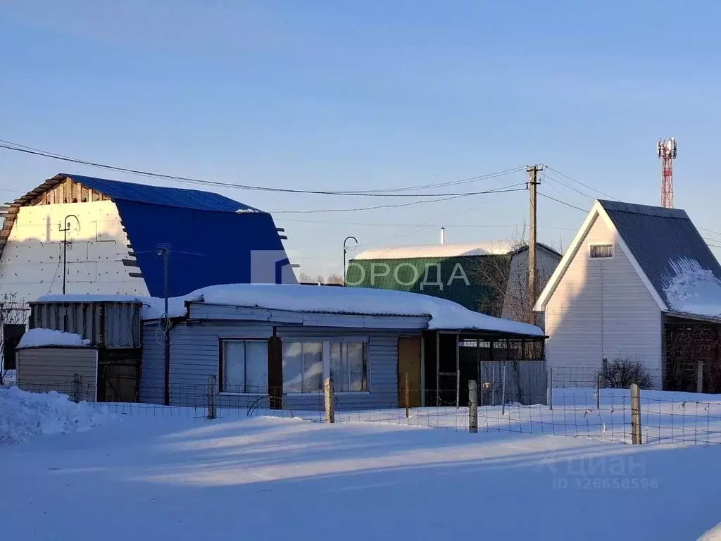 Участок в Новосибирская область, Новосибирск Светофор СНТ, 298 (5.1 ... - Фото 1