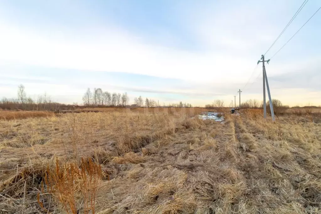 Участок в Тюменская область, Тюмень Большое Царево-1 ТСН,  (9.76 сот.) - Фото 0