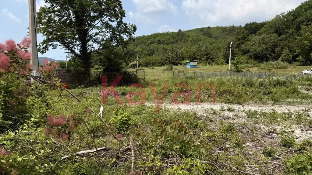 Участок в Краснодарский край, Геленджик городской округ, с. ... - Фото 1