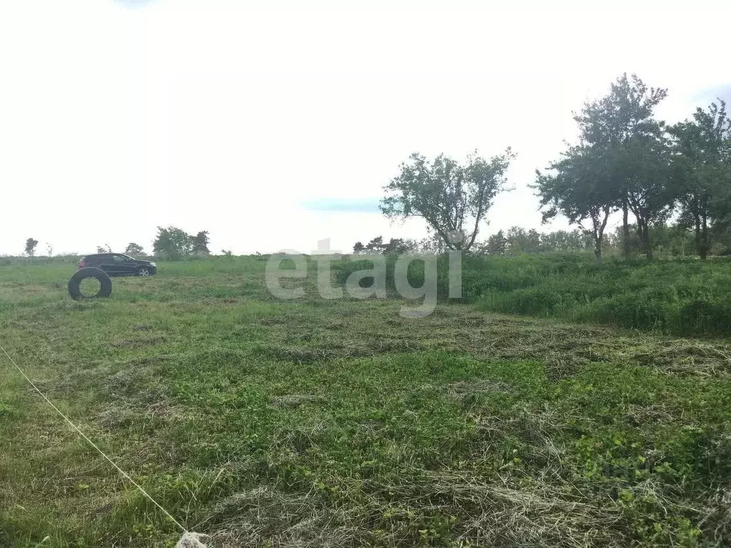 Участок в Брянская область, Брянский район, Мичуринское с/пос, ... - Фото 1