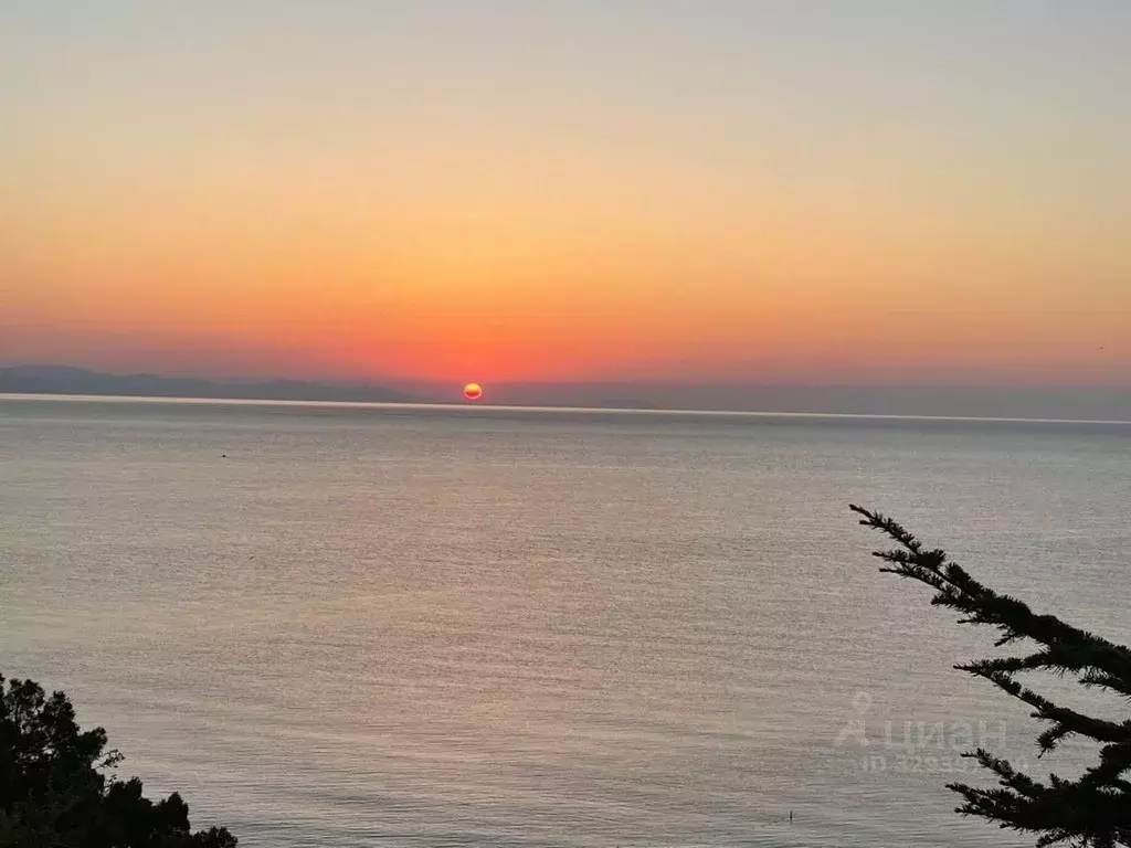 Комната Крым, Алушта ул. Набережная, 24Г/1 (30.0 м) - Фото 0