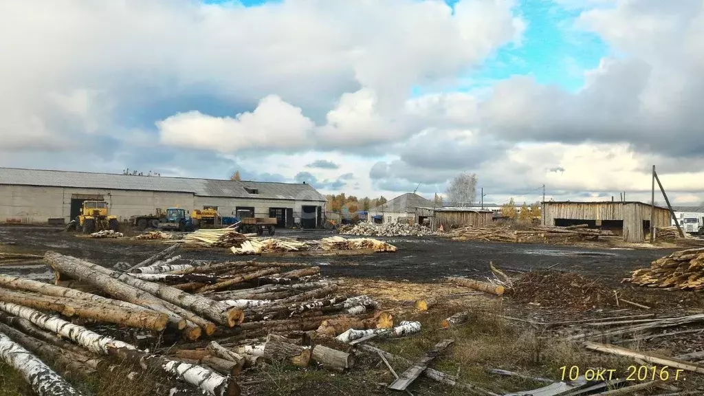 Склад в Курганская область, с. Шатрово ул. Космонавтов, 1 (17000 м) - Фото 1