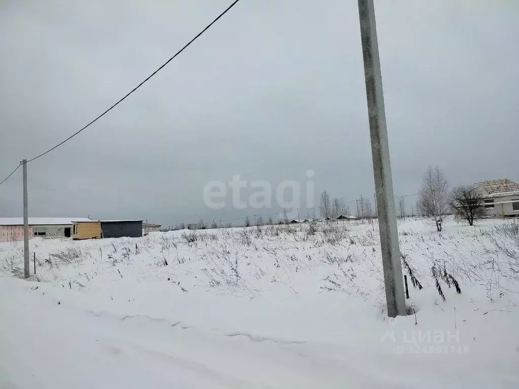Участок в Томская область, Томский район, Удачный кп  (10.0 сот.) - Фото 2