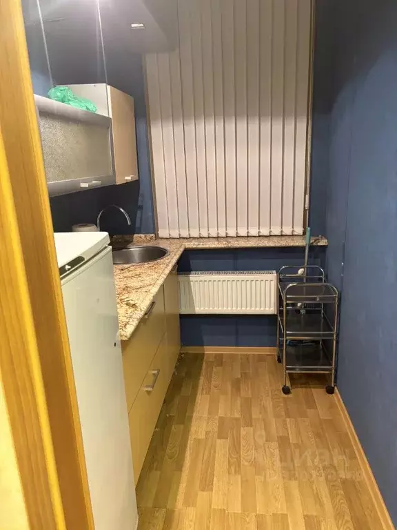 Помещение свободного назначения в Санкт-Петербург ул. Марата, 73 (89 ... - Фото 2