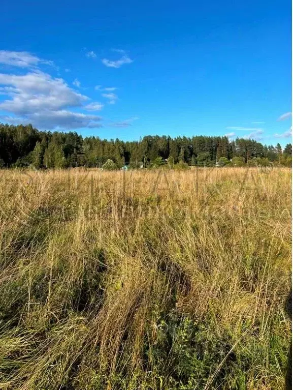 Участок в Ленинградская область, Выборг Калининский мкр,  (10.0 сот.) - Фото 1