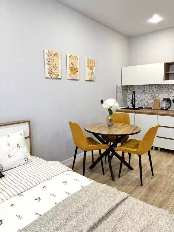 Студия Краснодарский край, Краснодар ул. Ивана Беличенко, 90 (28.0 м) - Фото 1