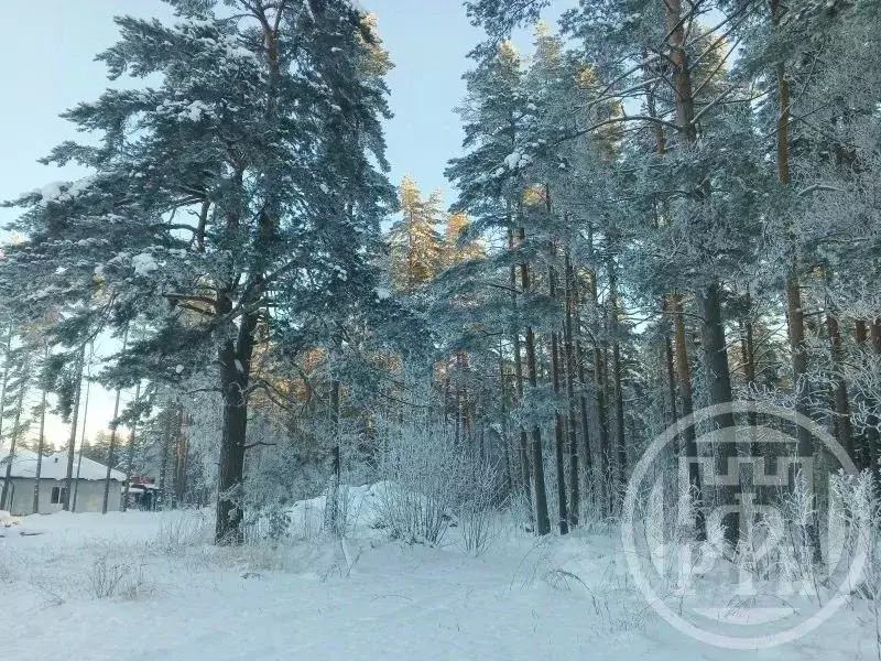 Участок в Ленинградская область, Выборгский район, Полянское с/пос, ... - Фото 2